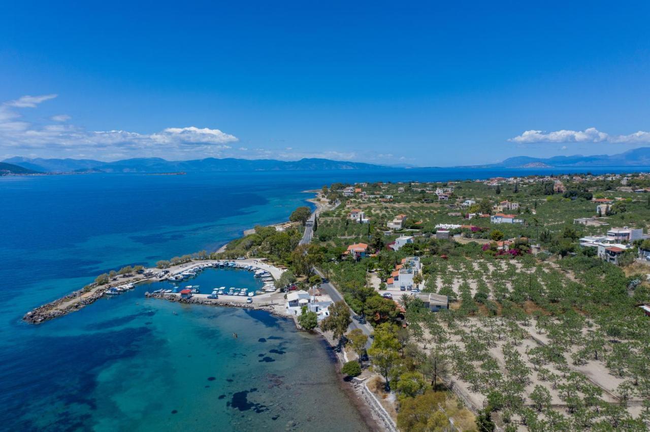 Stefanie Studios Aegina Экстерьер фото