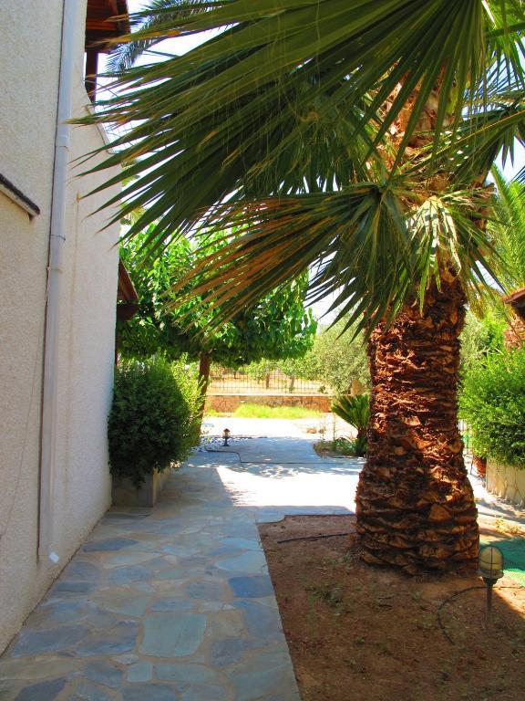 Stefanie Studios Aegina Экстерьер фото